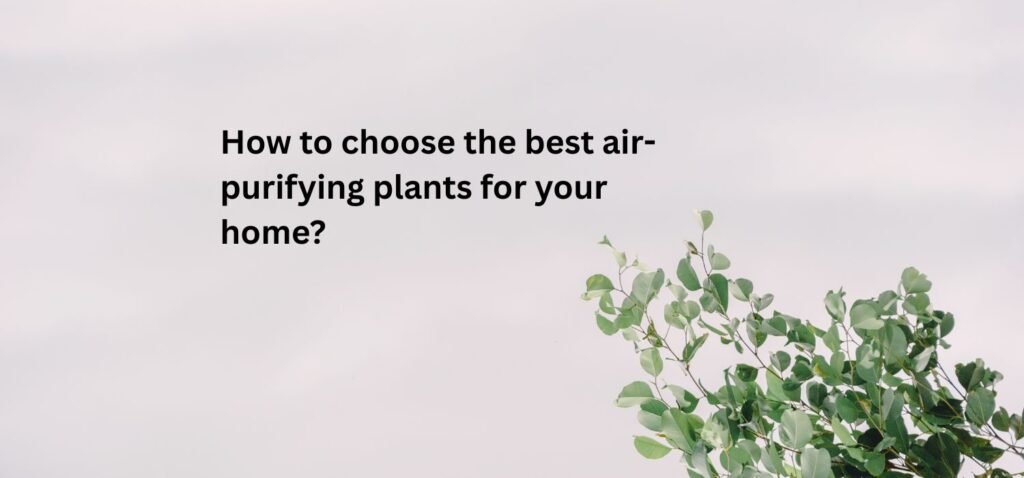 best air-purifying