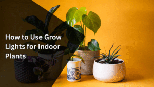 Top 5 Indoor Plants & Grow Light Tips