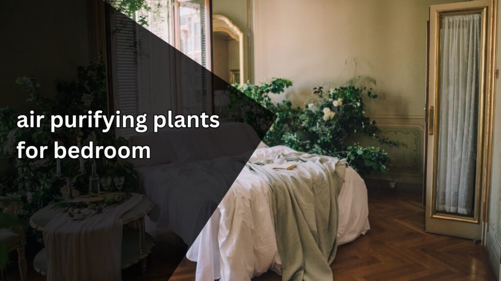 How to choose the best air purifying plants for bedroom spaces?